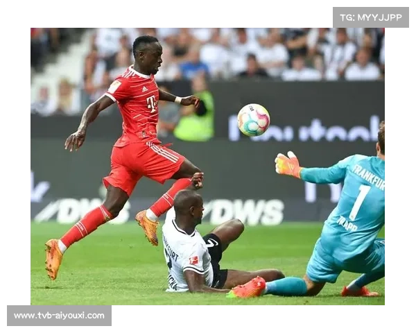 德甲主场激情源泉：足球融入社区共筑热烈氛围